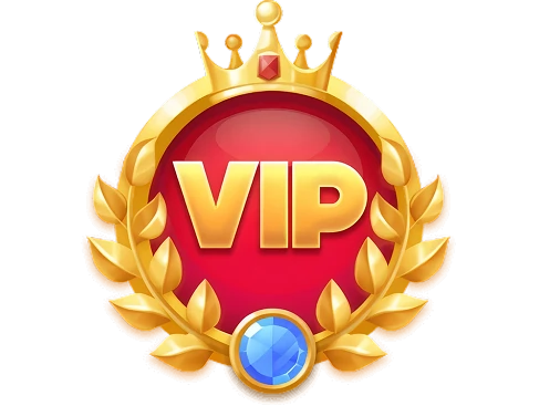 vip-1-img